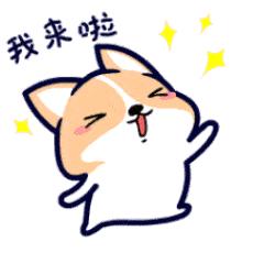 十一旅行去哪里最好,十一去哪儿玩有什么好的攻略