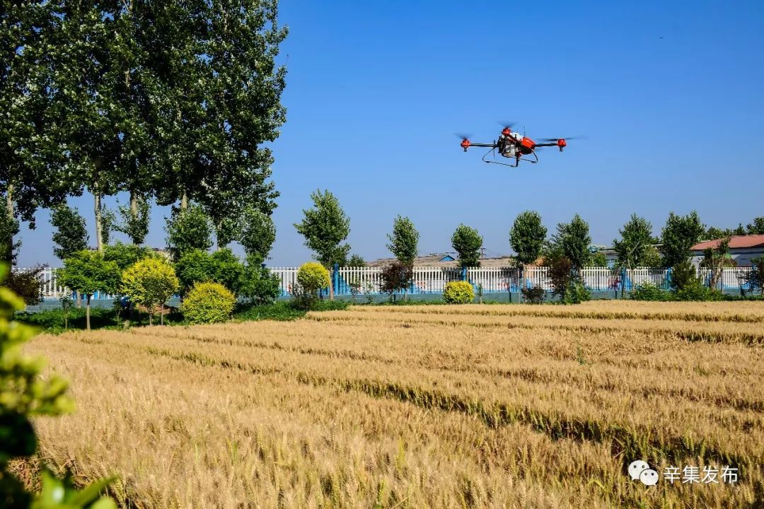 辛集有什么有名景区,辛集十八景图片