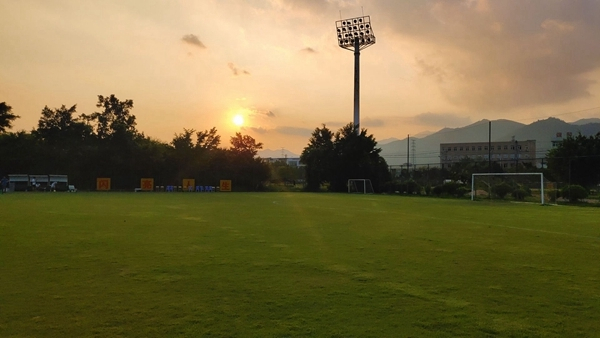 vivonex旗舰版竖屏变横屏,vivonex3s突破熄屏开不了机