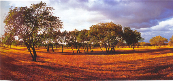 十大最美自驾游线路图,最美6条自驾游线路