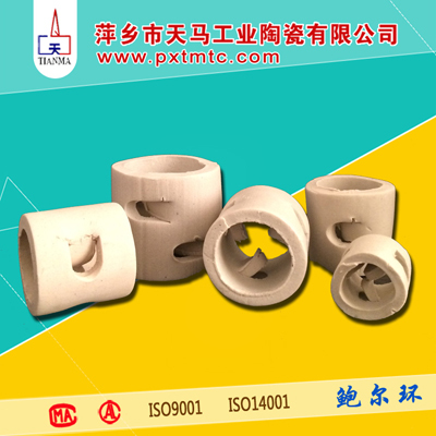 鲍尔环塑料填料规格,鲍尔环填料