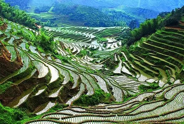 国庆你准备到哪里去的,国庆到了你会去哪