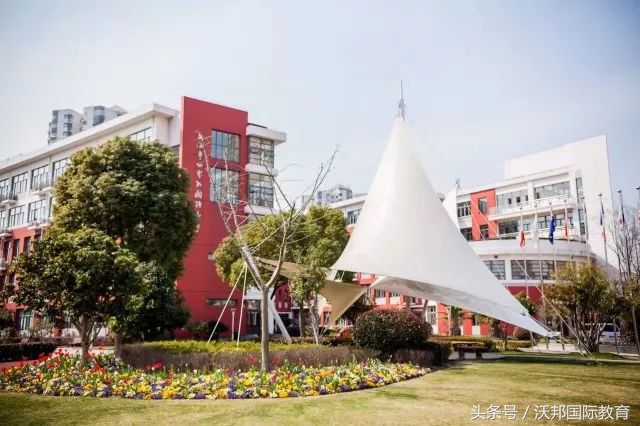 沪上优质国际学校有哪些,沪上国际学校ib成绩