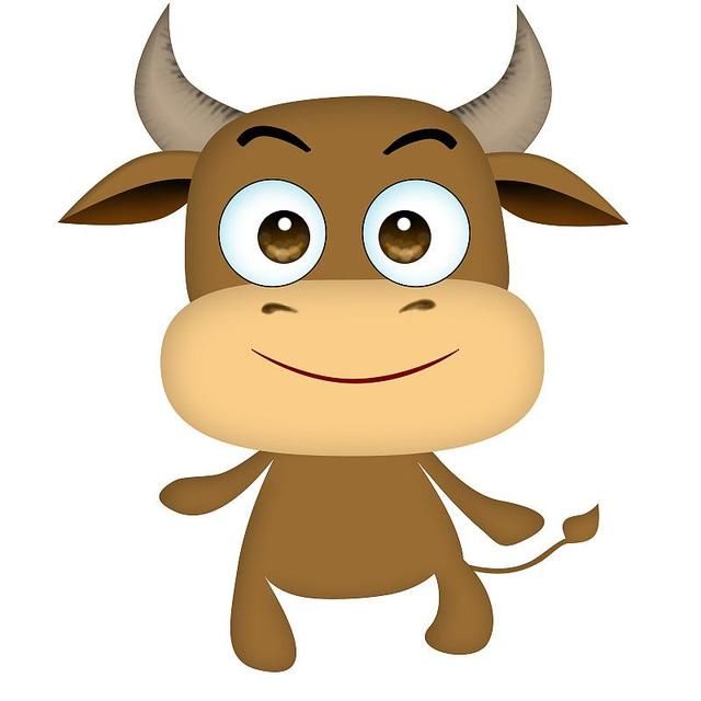 鸡年出生时辰哪个时辰好,人出生的时辰和死的时辰