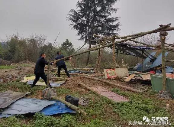 双流违规别墅拆除补偿多少,成都市双流区违建名单