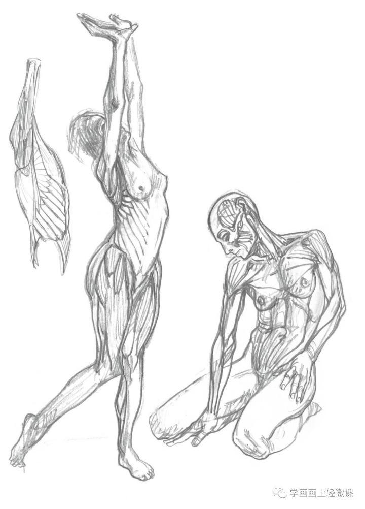 手绘推荐动漫人物,手绘动漫古风女生线稿简单