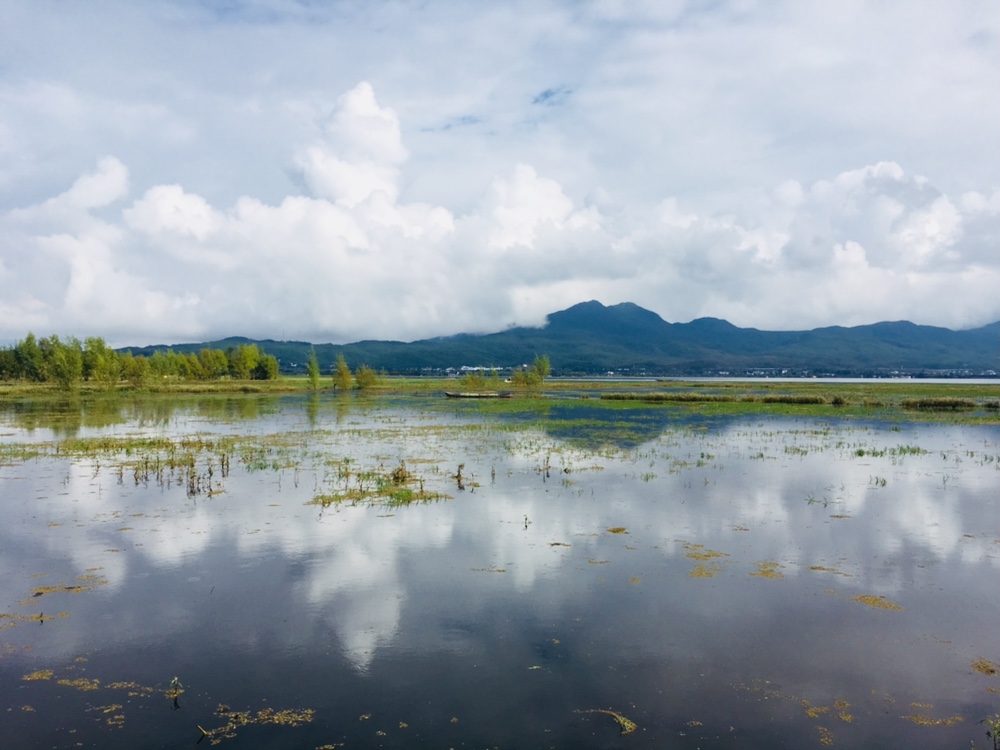丽江旅游拉市海攻略,丽江拉市海怎么样值得旅游吗