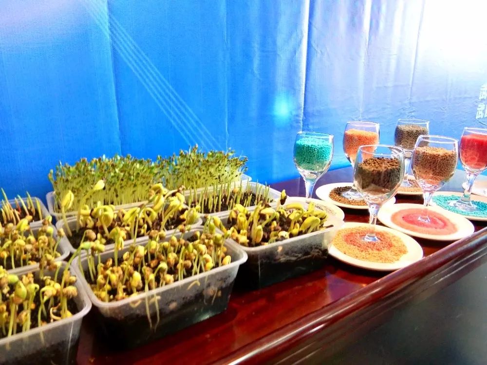 50人的会议可以坐多少人,50人以上的会议