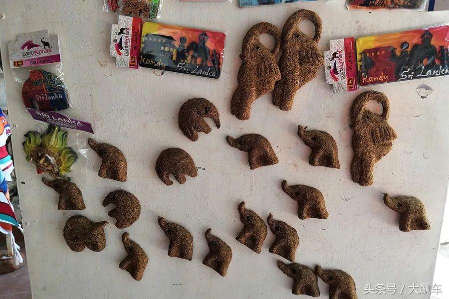 开学“B计划”之，印象斯里兰卡（一）！