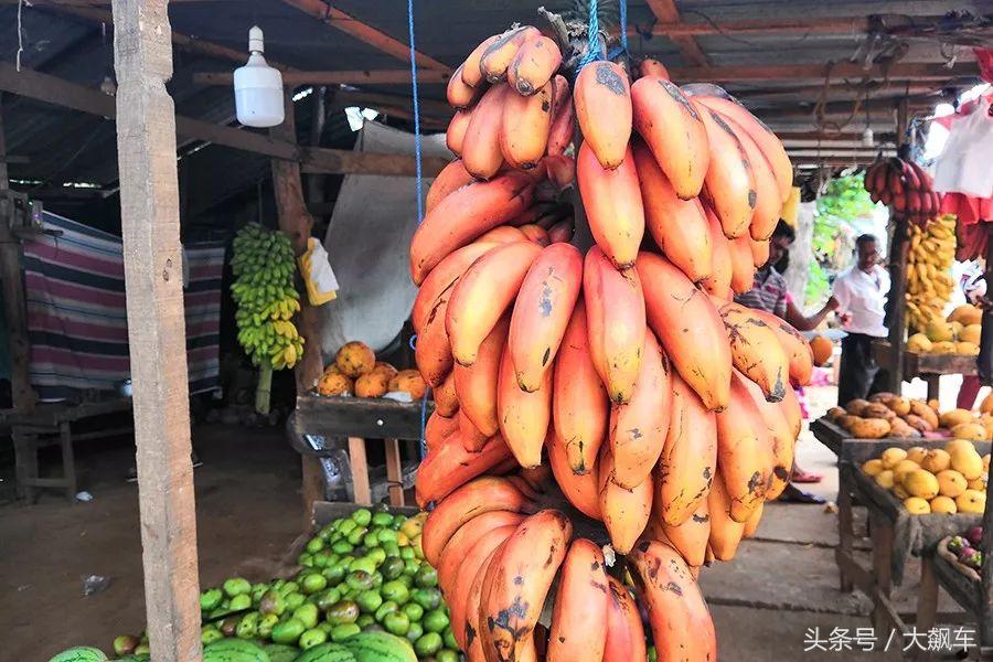 开学“B计划”之，印象斯里兰卡（一）！