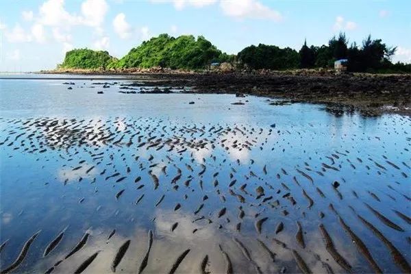 广西防城港一日游旅游攻略,防城港旅游景点必打卡的地方