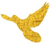 新时代好少年童心向党筑梦成长,新时代好少年勇于创新