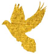 新时代好少年童心向党筑梦成长,新时代好少年勇于创新