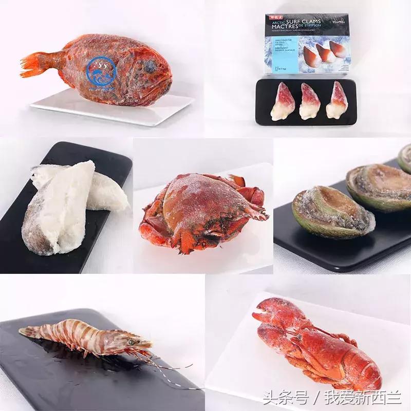 来新西兰以后才发现的变化,新西兰是不是最美丽的地方