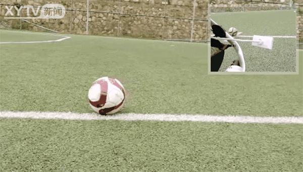 虎贝尔和好孩子推车比较,虎贝尔mpro婴儿推车