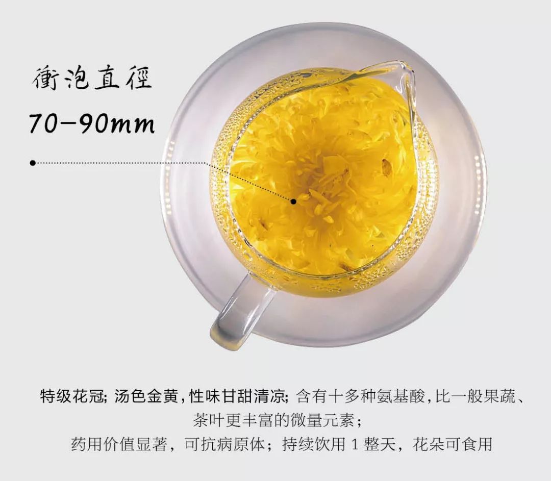 婺源金丝皇菊的故事,一朵一泡金丝皇菊