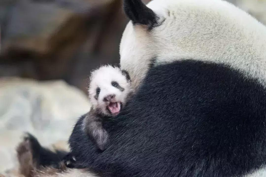 港真！劝你国庆千万别离开广州！因为……