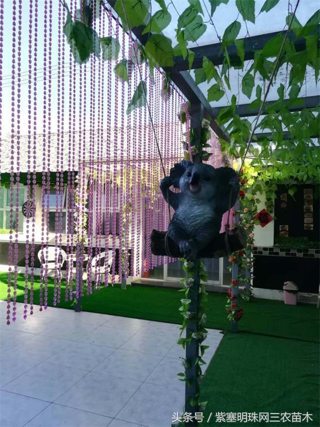 北京龙庆峡民宿,北京龙庆峡民宿第一名