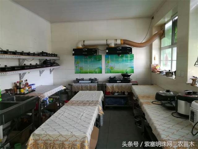 北京龙庆峡民宿,北京龙庆峡民宿第一名