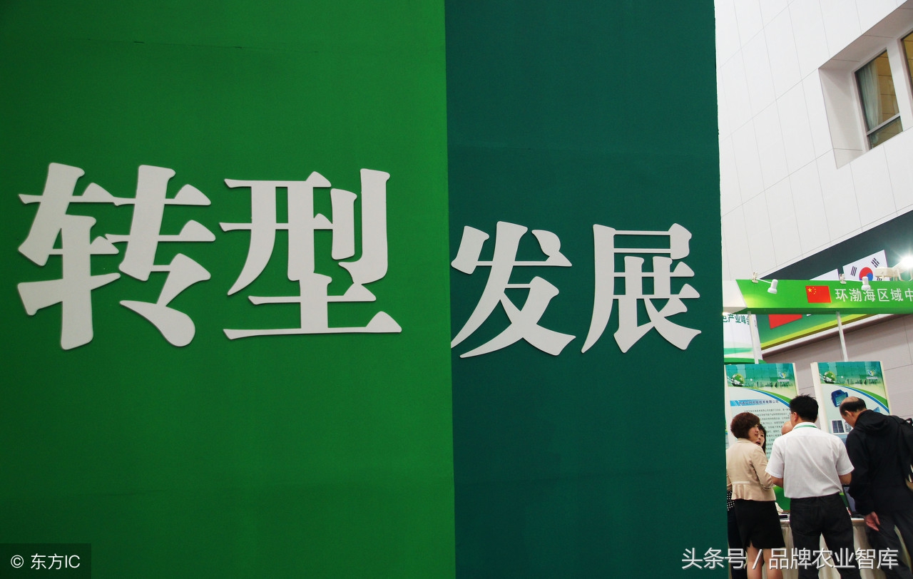 明年大宗农产品市场前景,大宗农产品的发展状况