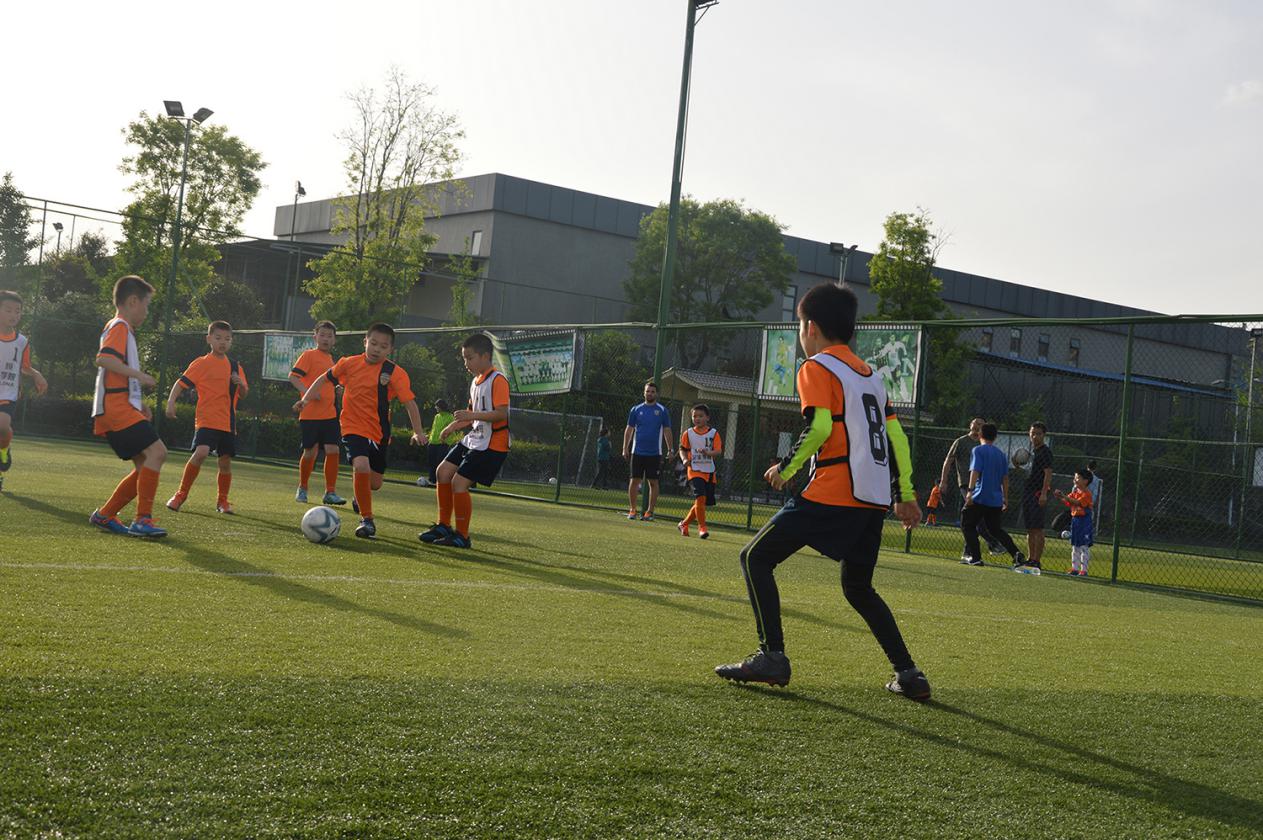 中国足球再一次走上了冲击的征程,中国足球的未来出路