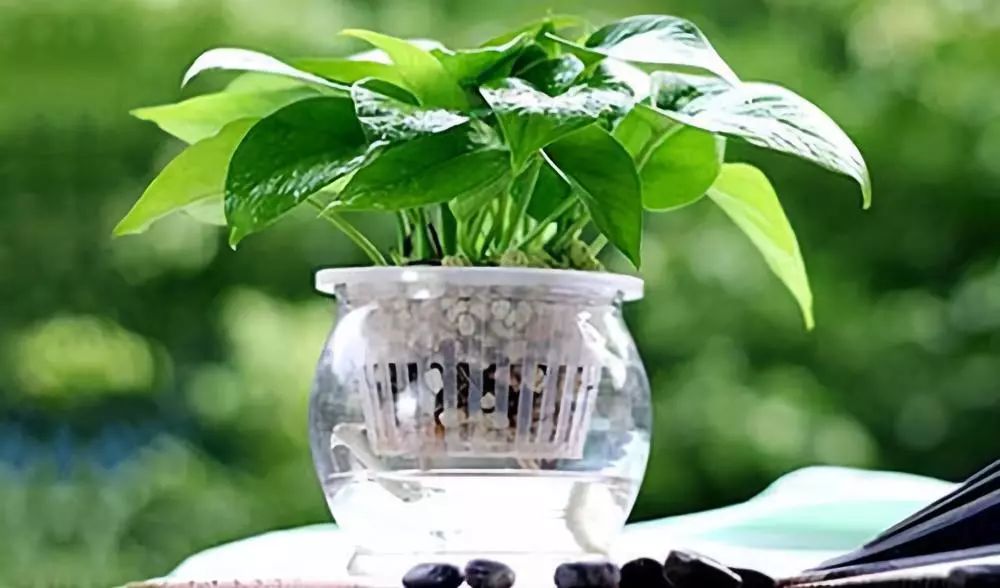 一把盐就能解决事情,一点盐就能解决食盐的问题