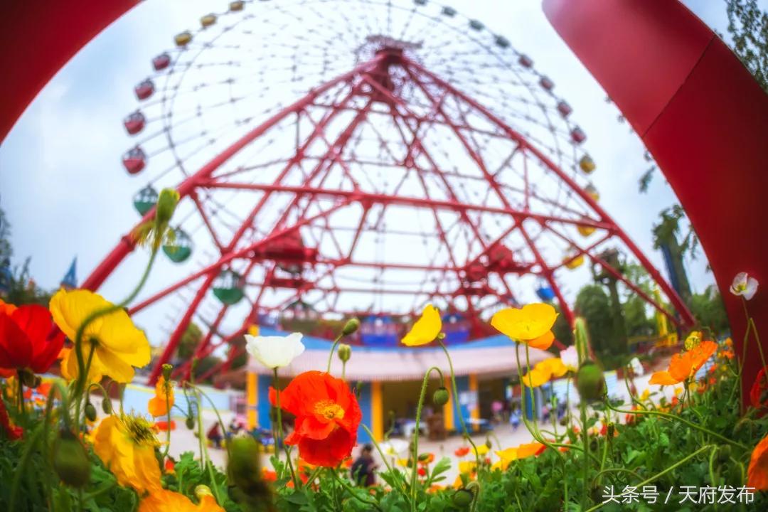 天府新区国庆哪里玩,国庆假期游玩攻略成都天府新区