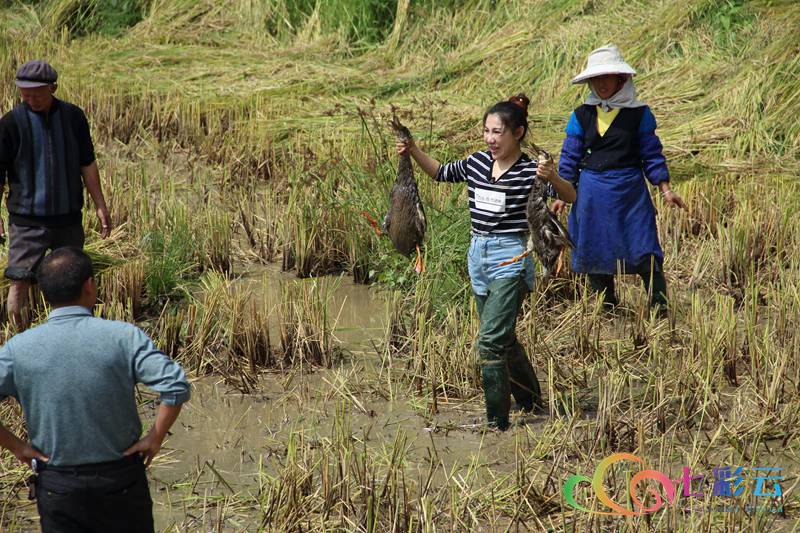 国庆云南周边旅游景点推荐,国庆去云南旅游景点有哪些要求
