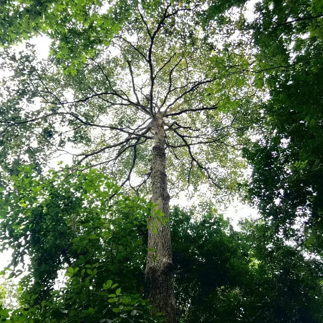 国庆假期广西天气,广西国庆节的天气