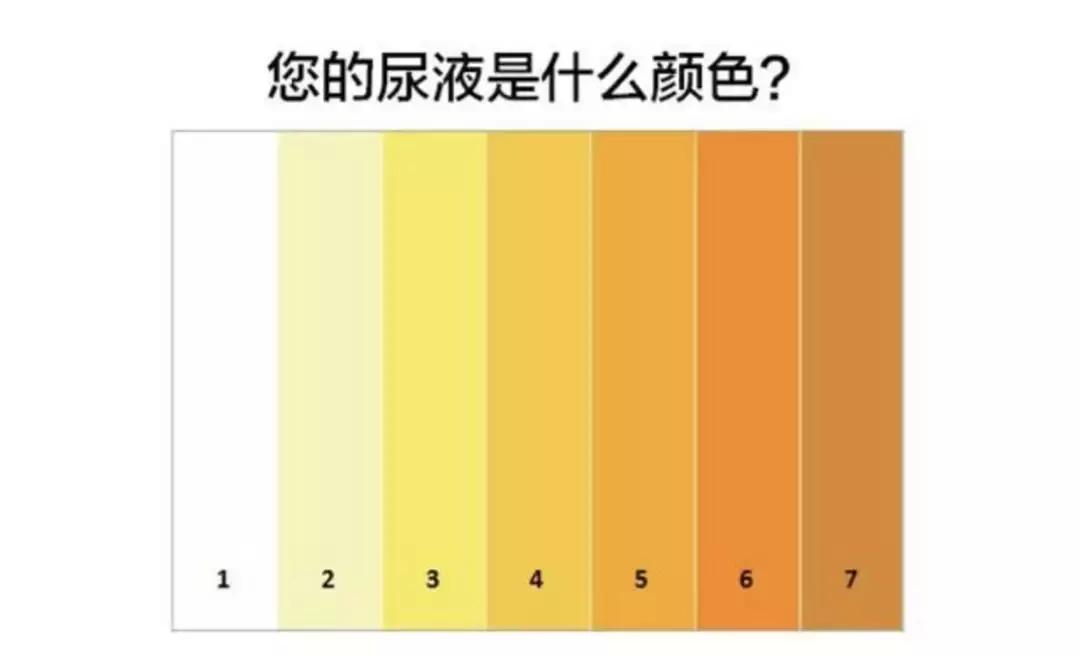 正常尿液颜色是什么颜色图解,如何观察自己的尿液颜色是正常的