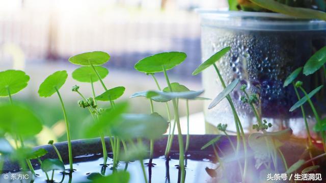 闷声发财的人30岁后的变化,人到中年要学会闷声发大财