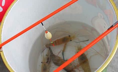钓海虾有什么技巧,晚上钓海虾最简单方法