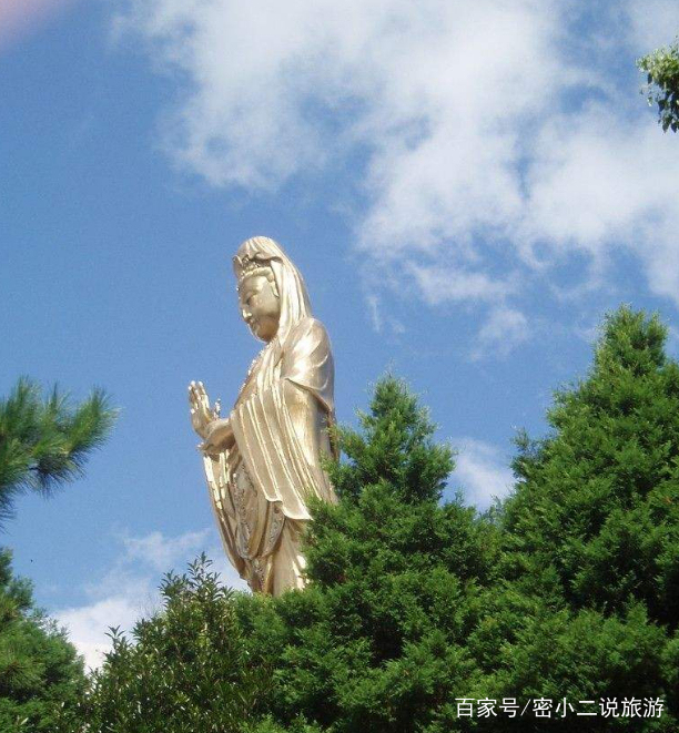 普陀山一日游一镜到底,普陀山一日之旅