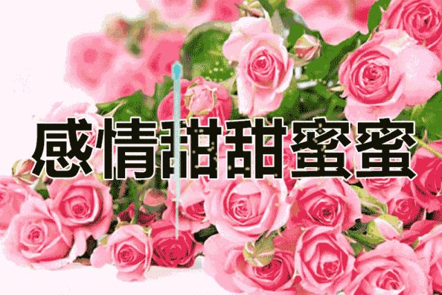 会动的美丽的图片,会动的照片绝美