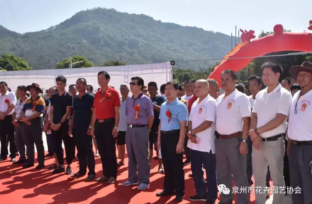 喜迎国庆展风采,迎国庆鲜花展美图