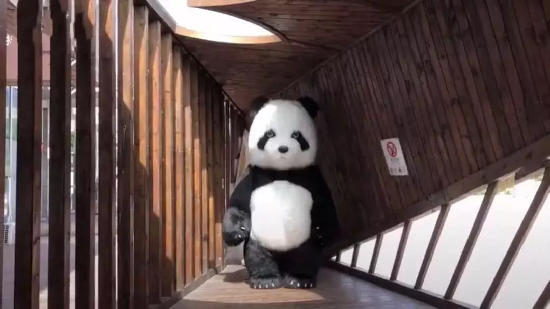 好山好水好风景等你来玩,好山好水好风景等你来