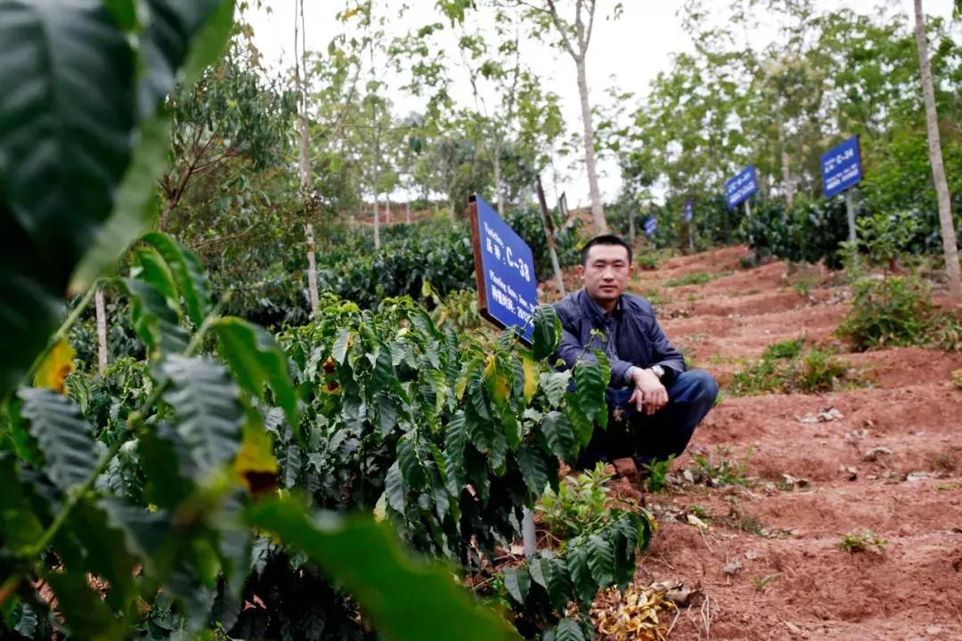 漫猫咖啡品牌有哪些,漫猫咖啡