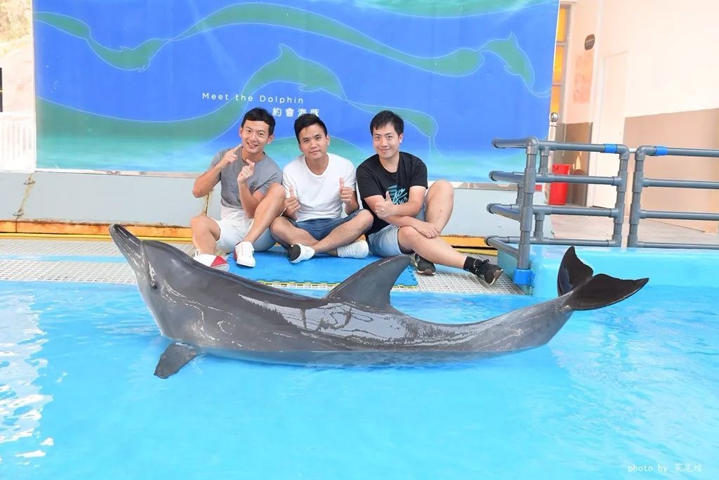 乘高铁游香港快捷又方便,坐高铁怎么样去珠海长隆海洋乐园