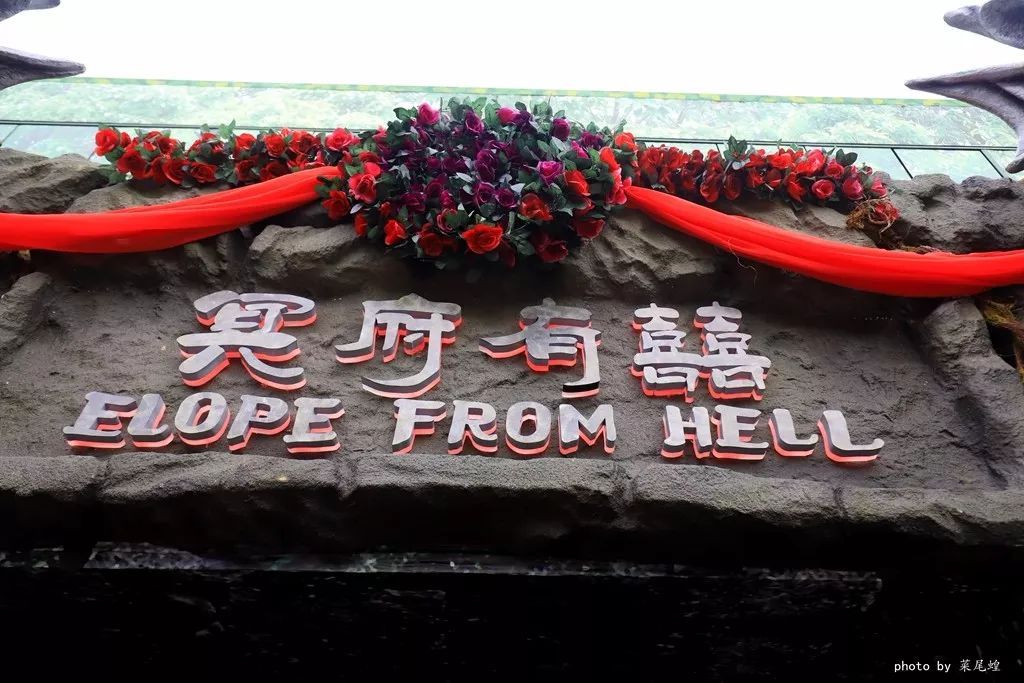 乘高铁游香港快捷又方便,坐高铁怎么样去珠海长隆海洋乐园