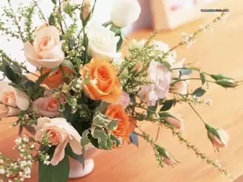 0基础插花自学教程大全,插花零基础能学会不