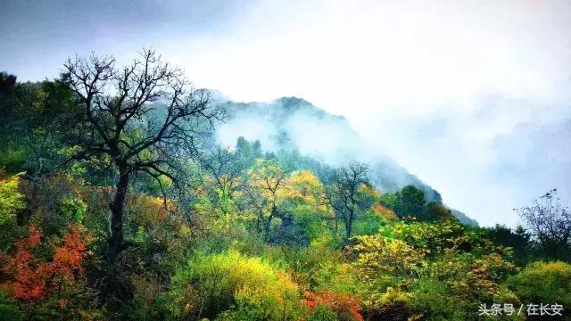 西安秦岭自驾一日游免费景点,西安出发一小时深藏秦岭山水秘境