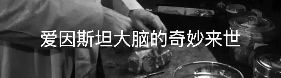 中国脑囊虫病,巨大脑囊虫病