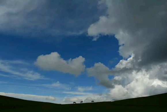 我的一周伊利穷游记