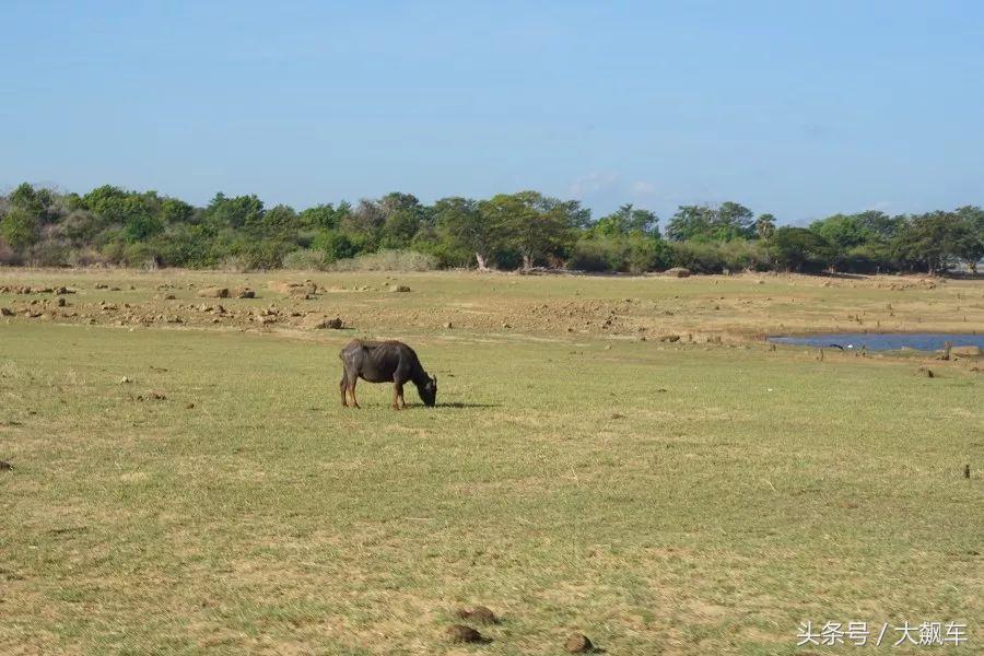 印象斯里兰卡全景,旅行记斯里兰卡