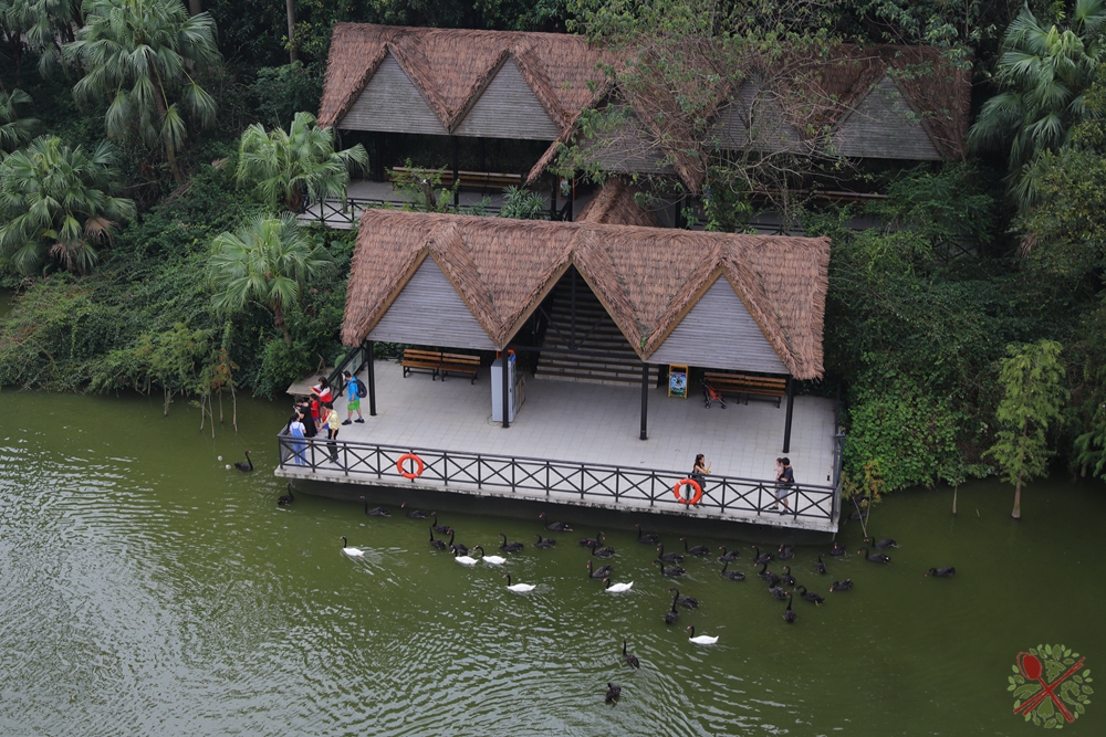 广州长隆4大乐园几天可以耍完,广州长隆野生动物世界国庆门票