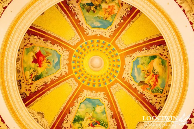 第一次采摘火龙果的体验,高明采摘火龙果