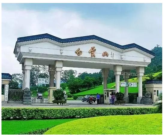 上海2小时高铁旅游线路,魔都沿途风景随拍