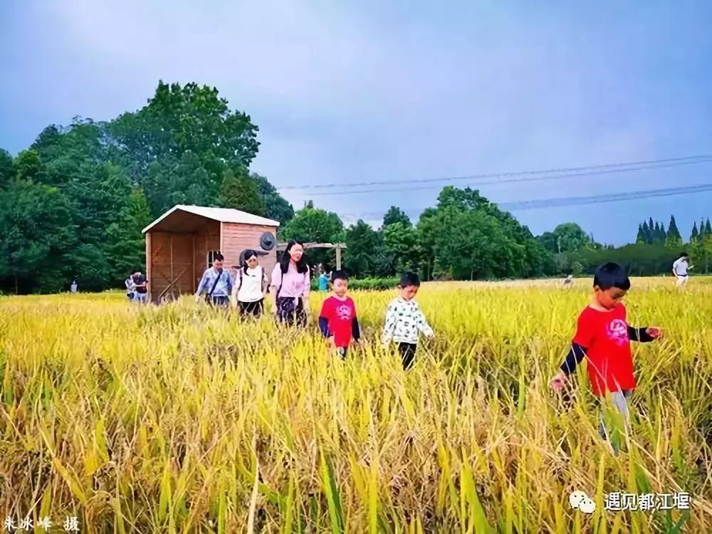 收藏！国庆来都江堰必打卡的10个点~最后一个都去过你就成了资格的灌县人！