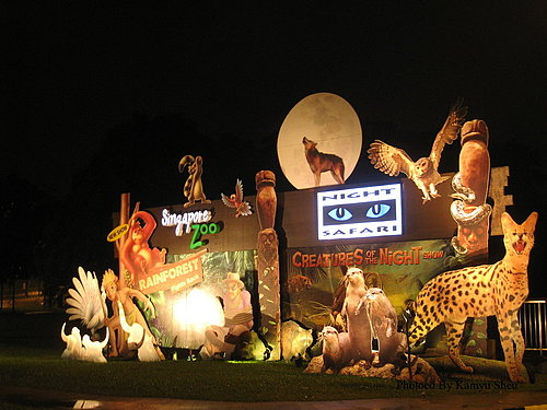 夜间动物园新加坡,新加坡夜间动物园有表演吗