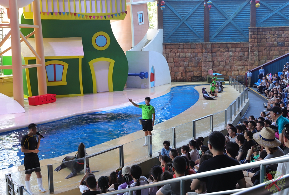 珠海长隆海洋王国企鹅馆北极熊馆,珠海长隆企鹅海洋王国攻略